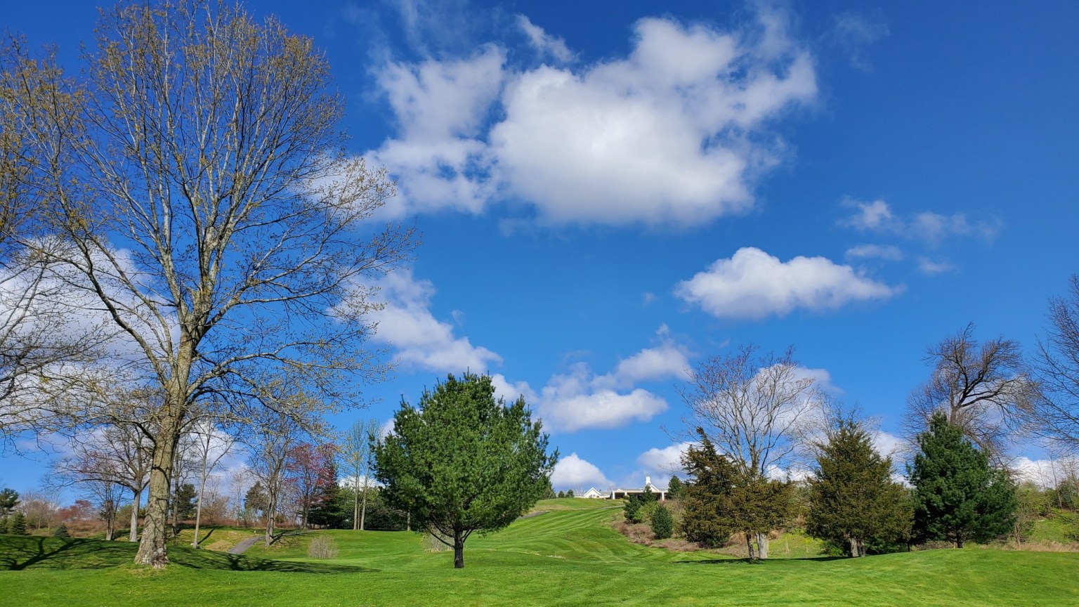 Golf Course in summer with trees and blue sky